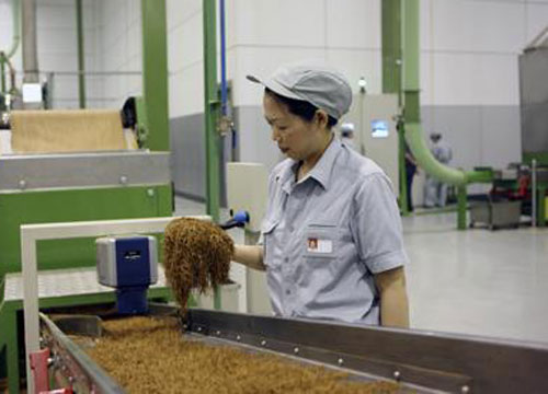 煙草鏈板輸送設(shè)備最容易疏忽的維護你都做好了嗎